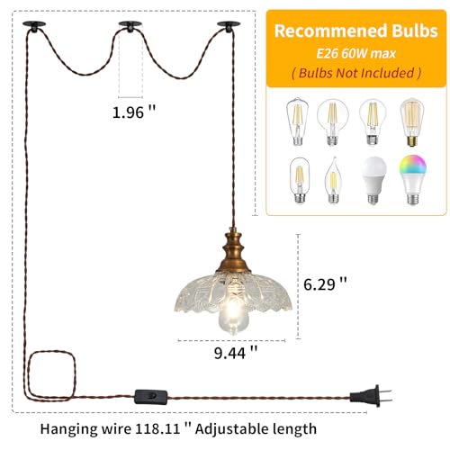 Plug in Pendant Light Industrial Pendant Lighting with Plug in Cord 9.8ft Hanging Lamps Clear Glass Shade ‎Bronze Light Fixture for Living Room Kitchen Dining Room Bedroom