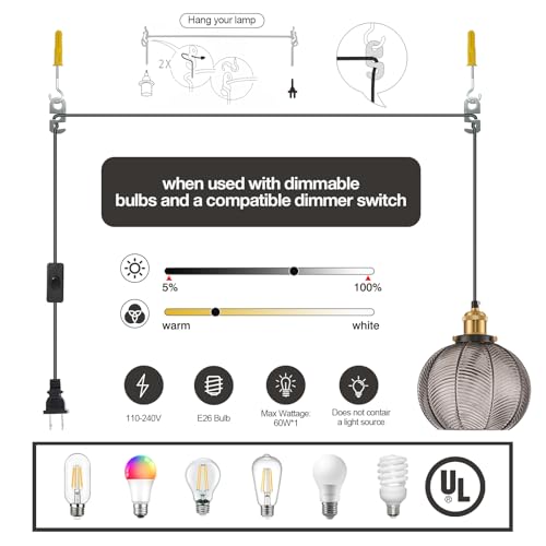 Modern Plug in Hanging Light