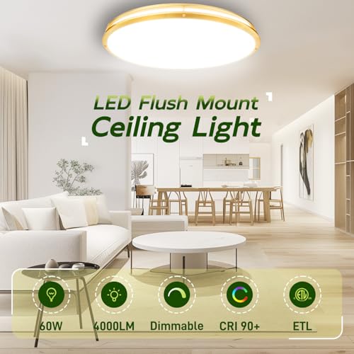 32 Inch Oval LED Ceiling Light