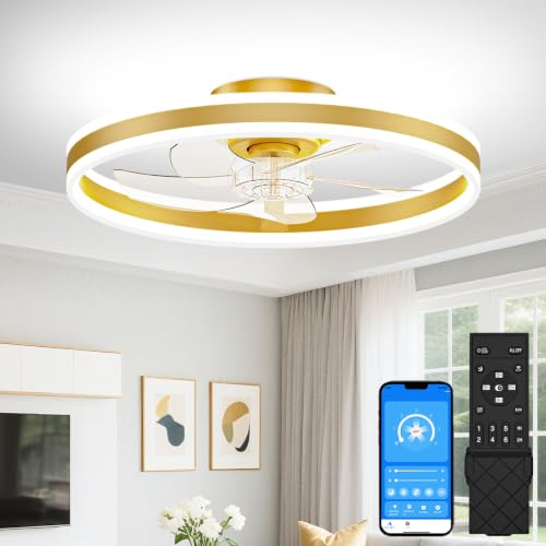 Low Profile Ceiling Fans with Lights and Remote