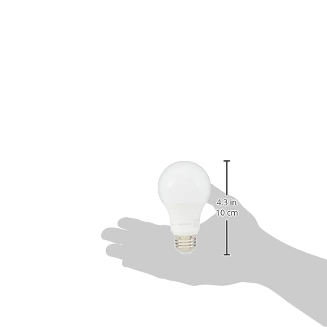 A19 LED Light Bulbs (6 Count)