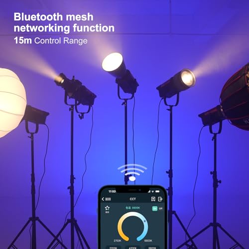 GVM 300W Video Light Kit with Lantern Softbox