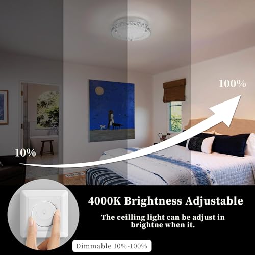 Crystal Ceiling Light Flush Mount Ceiling Light Fixture 4000K Dimmable