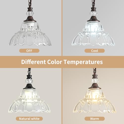 1 Piece Vintage Chandelier in Oil Rubbed Bronze Finish with Flower (1-Light / Oil Rubbed Bronze and Chain Style)
