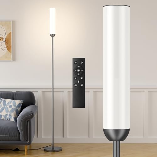 LED Floor Lamp with Remote Control