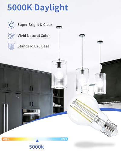A19 Daylight Edison Bulbs (6 Count)