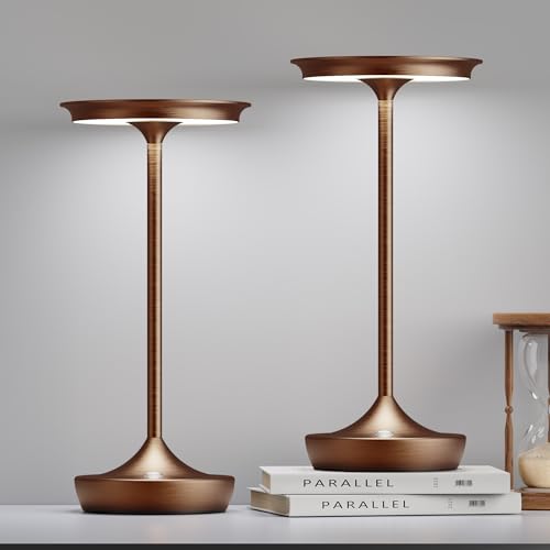 LED Rechargeable Cordless Outdoor 6000mAh Battery Table Lamp 2 (2 Count)