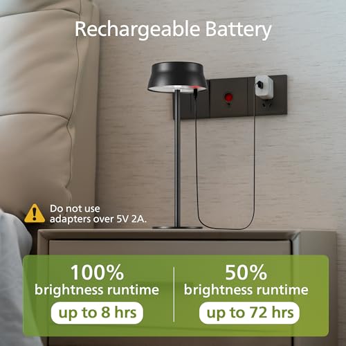 Cordless Table Lamp