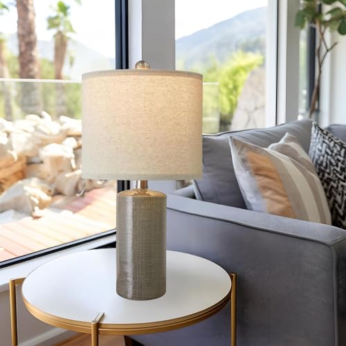 Small Table Lamps Set of 2 for Living Room 20.25" Grey Lamps Bedside Lamps (2 Count)