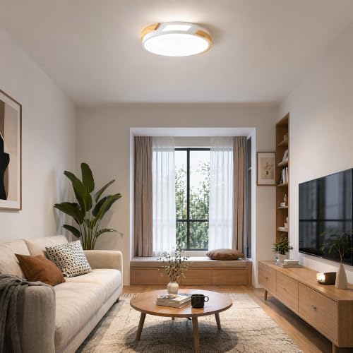 Modern LED Ceiling Light