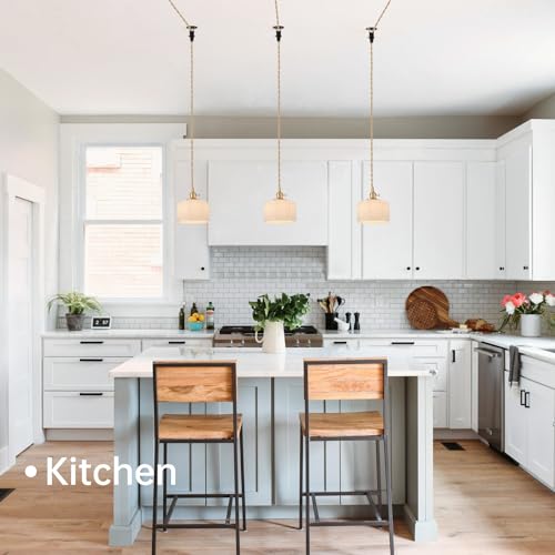 Plug in Pendant Light Hanging Light Fixture Corded On