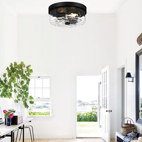 Flush Mount Ceiling Light Fixtures