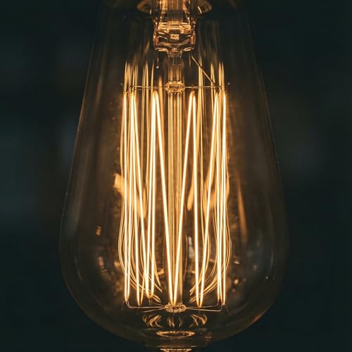 ST64 Incandescent Edison Bulb 60W E26 2200K Dimmable Amber Glass 2 (2 Count)