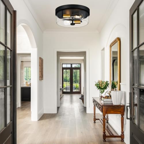 Flush Mount Ceiling Light Fixtures