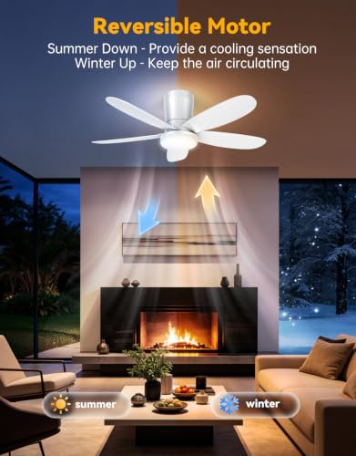Ceiling Fans with Lights
