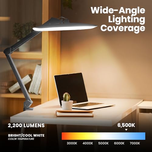 XL 2200 Lumens 24W LED Desk Lamp