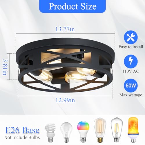 Flush Mount Ceiling Light Fixture