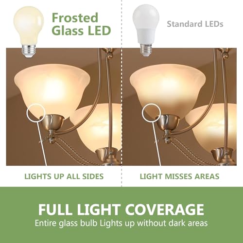 A19 LED Filament Light Bulbs (6 Count)