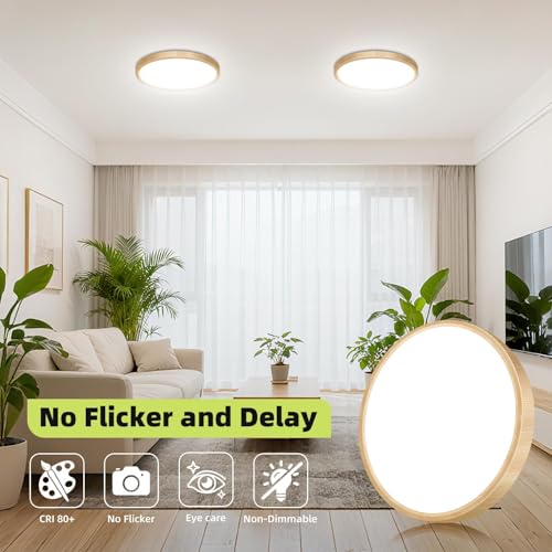 1PACK Flush Mount LED Ceiling Light Fixture