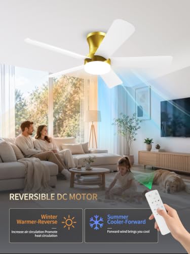 42 Inch White Gold Low Profile Ceiling Fan with Light and Remote (Gold White / 42 Inch)