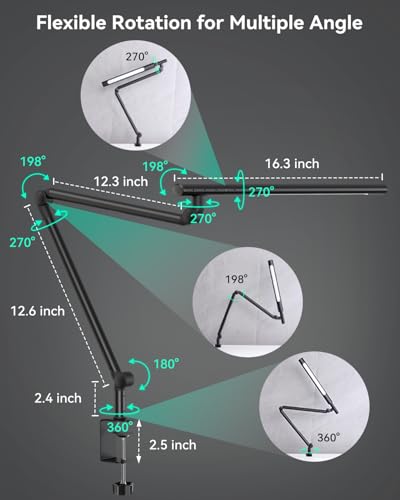 LED Desk Lamp with Clamp