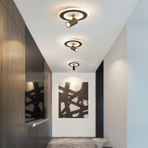 Modern LED Ceiling Lights with 1 Spotlight 9.8Inch Black Ceiling Light with Remote Control Dimmable 3000k