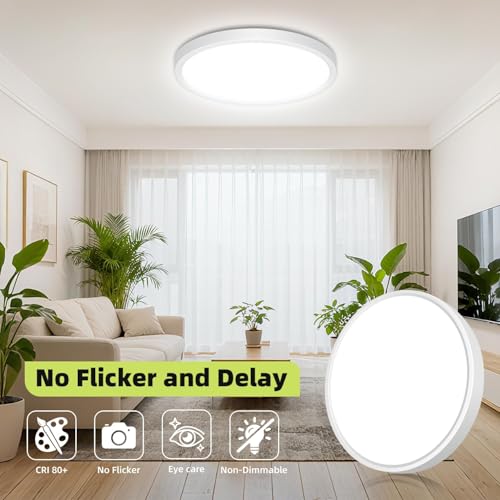 LED Flush Mount Ceiling Light
