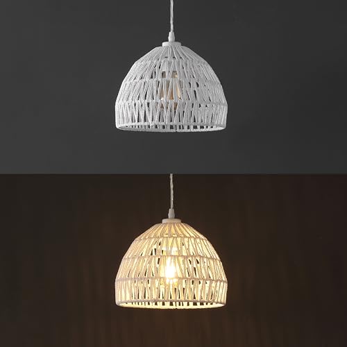 Campana 1 Light Pendant Dome Ceiling Lamp