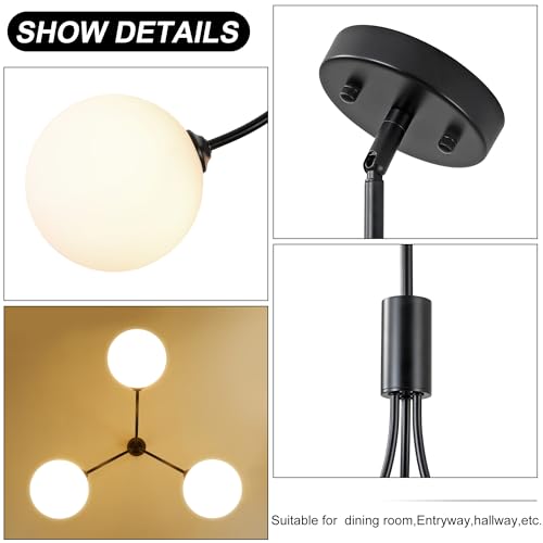 3 Light Modern Farmhouse Black Chandeliers for Entryway