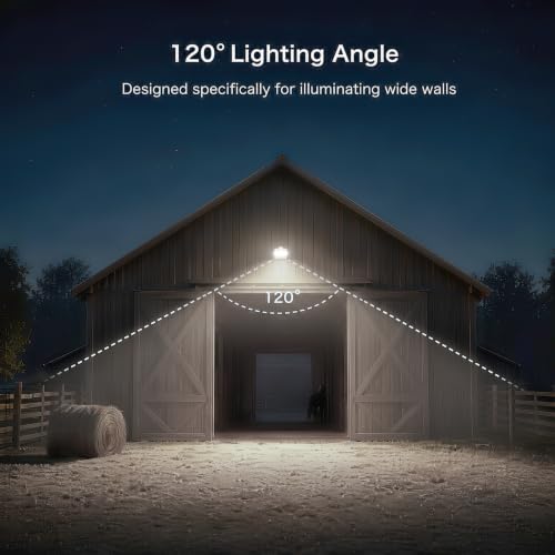 55W 6600LM LED Barn Light
