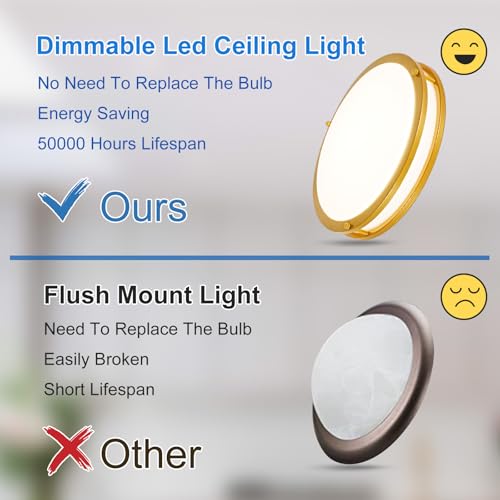 DLLT Flush Mount LED Ceiling Light
