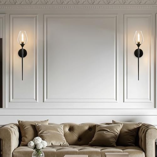 2 Pack Blcak Glass Wall Sconce Light