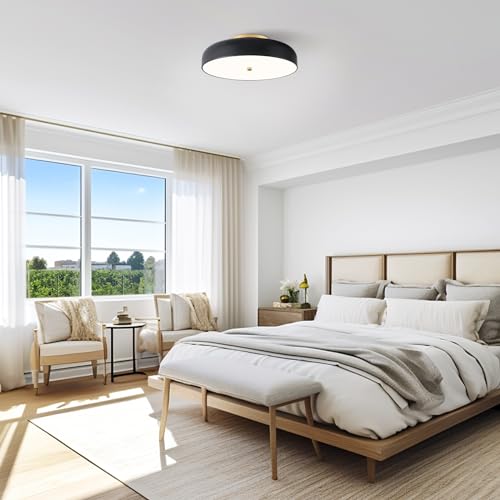 Dimmable LED Ceiling Light Fixture