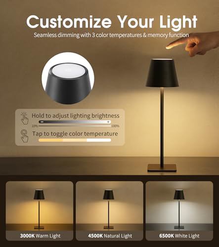 3 Pack Cordless Table Lamp (3 Count)
