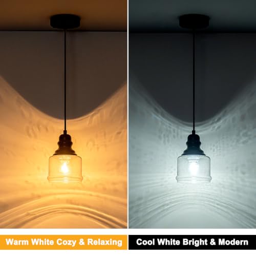 Industrial Pendant Light