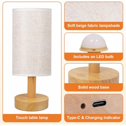 Rechargeable Cordless Touch Table Lamp with Stepless Dimming