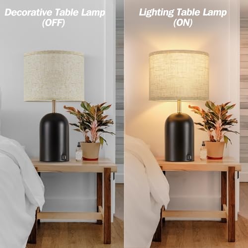 Touch Control Table Lamps Set of 2