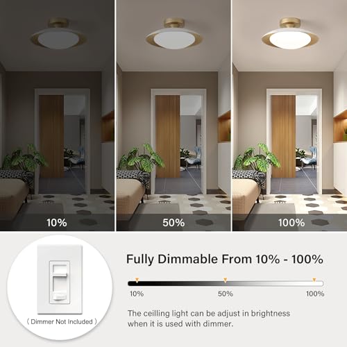 Dimmable Modern Mid