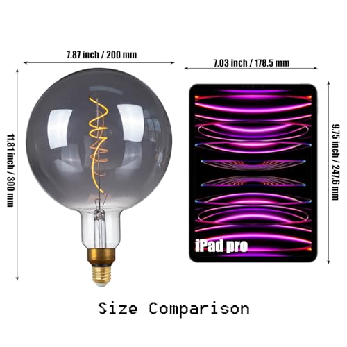 G200 Oversized LED Edison Light Bulb Dimmable 5W 200lm E26 2200K 1PC