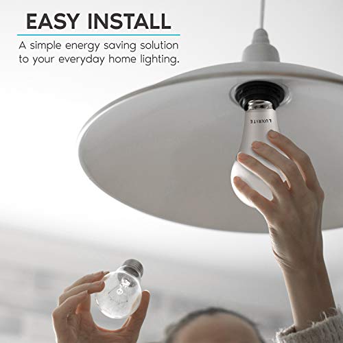 A21 LED Bulbs 150 Watt Equivalent (8 Count)