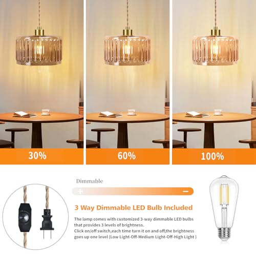 Plug in Pendant Light Hanging Lights with in Cord Mid Century Modern Gold Hanging Lamp Flower Glass Amber Vintage Dimmable Chandelier Ceiling Fixture for Living Room