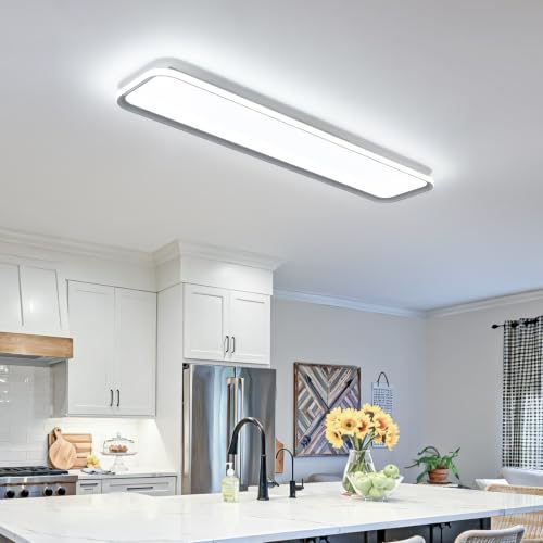 Modern LED Ceiling Light