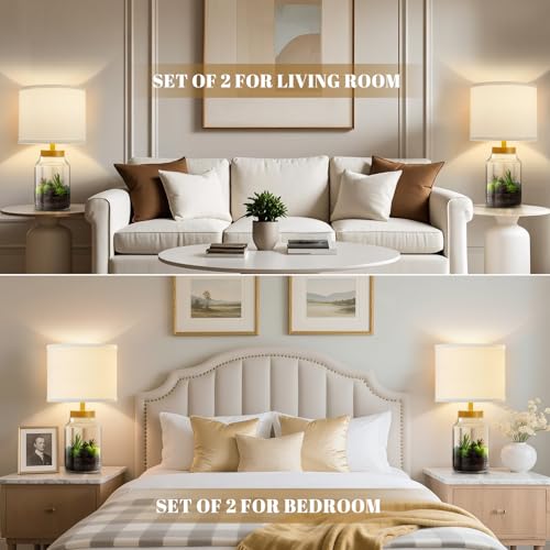 Fillable Table Lamp (2 Count)
