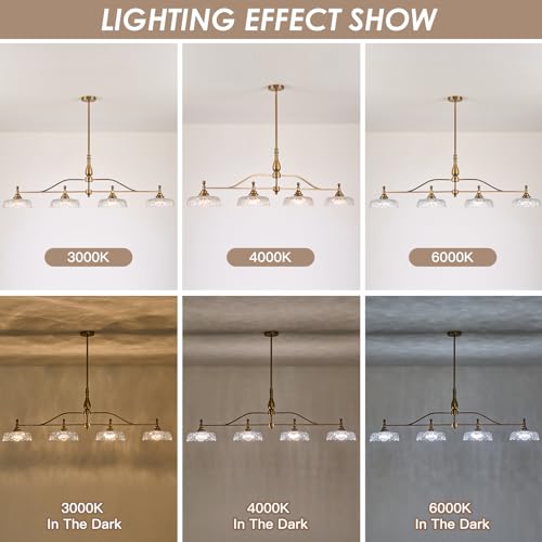 Chandeliers Light Pendant Light Fixture Vintage Pendant Lighting Fixtures 4 Lights Chandelier Matte Brass Hanging Light Kitchen Glass Pendant Lights for Island Dining Room Living Room