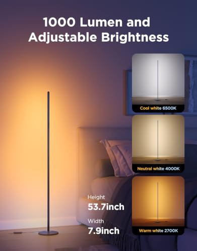 RGBIC Floor Lamp Basic