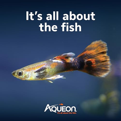 Aquarium Starter Kit with Smart Clean Filtration and LED Lighting
