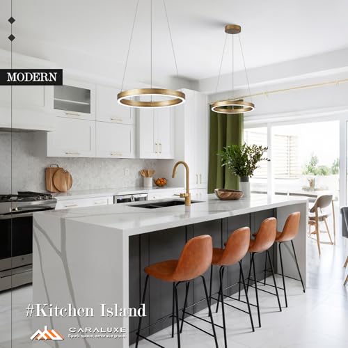 12in LED Ring Chandelier Brass Gold Modern Dimmable Pendant Light
