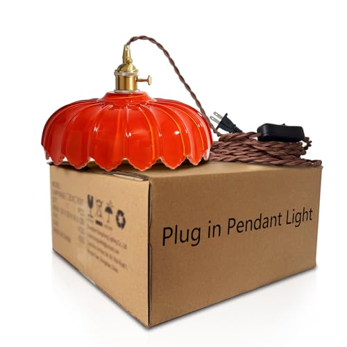 Plug in Pendant Light