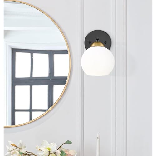1 Pack Lamp Glass Shade Globe (2 Count)