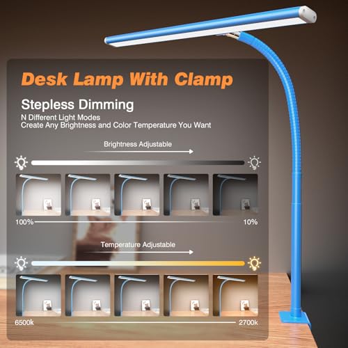 LED Desk Lamp with Clamp